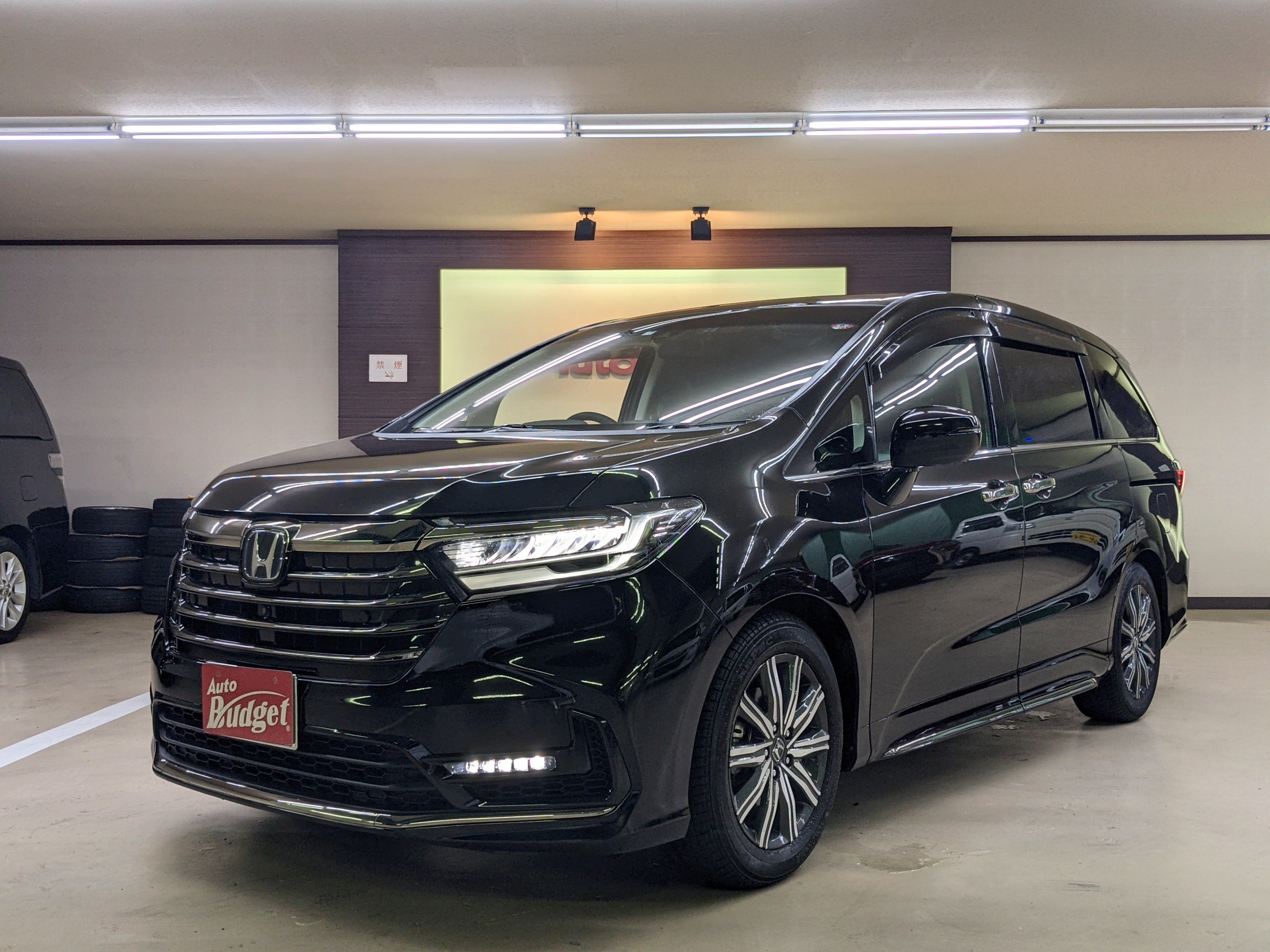 Honda / Odyssey ABSOLUTE -8782
